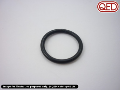 O Ring, torx inspection plug