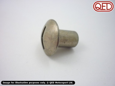 Cam cover screw, chromed (fits 303041)