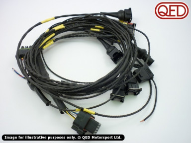 Full engine management wiring loom, DTA S40/S60/S80/S100