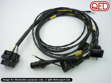 Ignition management wiring loom, DTA