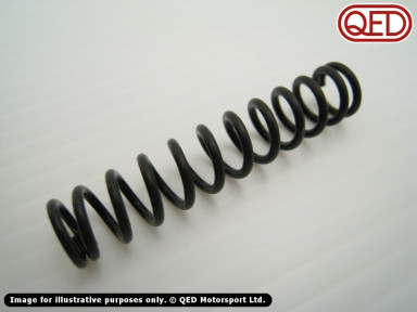 Tensioner spring